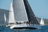 spirit of jacana irl1335 whyw22 sun 750_2313yi